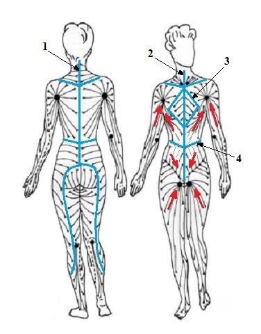 Certified Manual Lymph Draiange